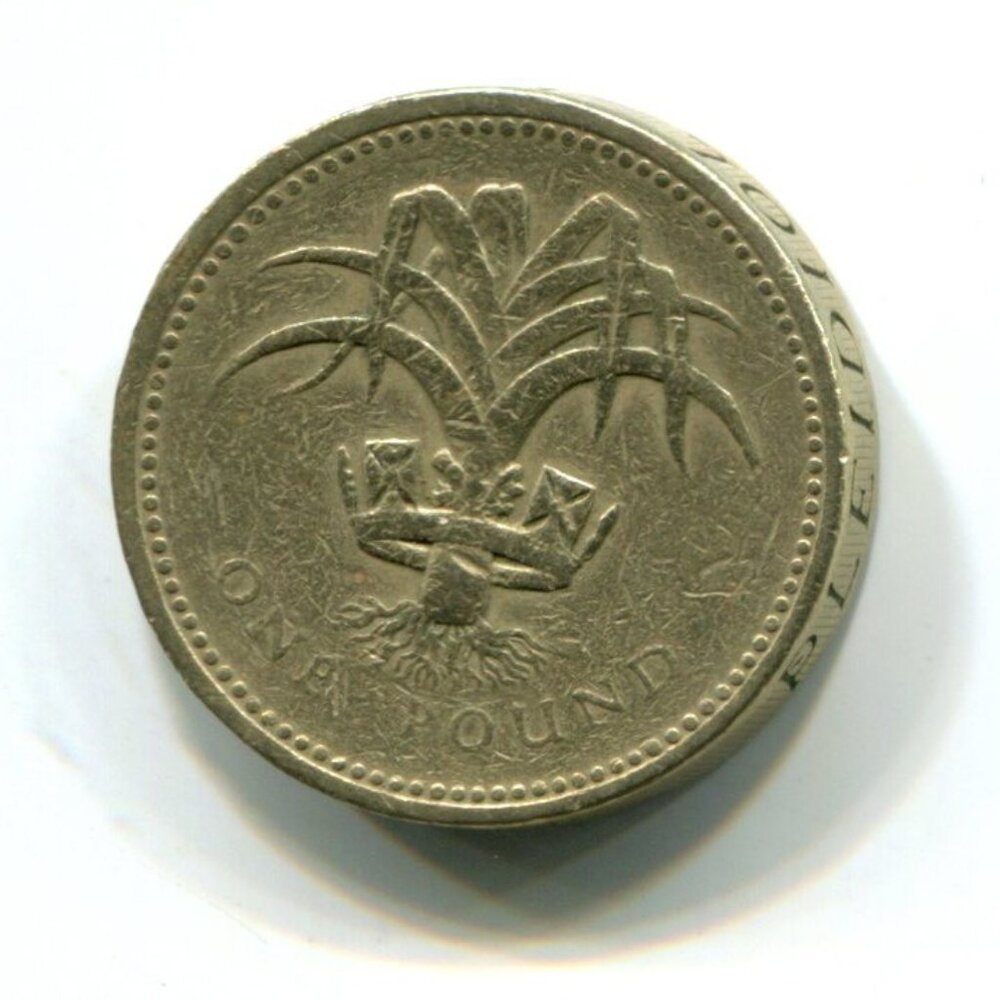 1985 Great Britain Welsh Leek One Pound Coin (b511-2)